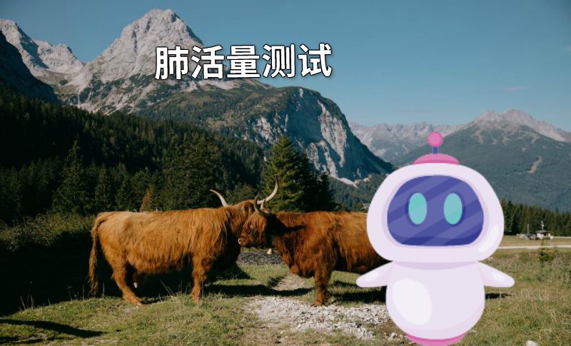 肺活量测试 动画制作软件有哪些