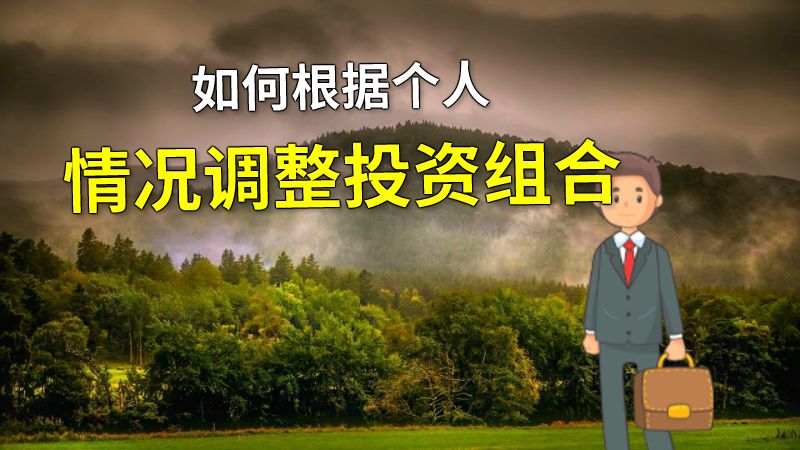 如何根据个人情况调整投资组合 动画制作软件有哪些