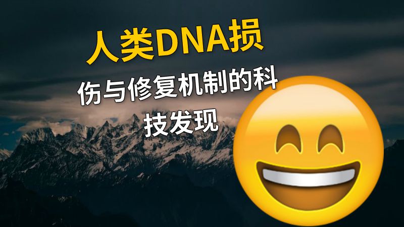 人类DNA损伤与修复机制的科技发现 动画制作软件有哪些