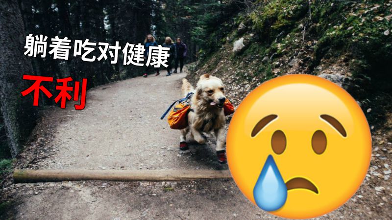 躺着吃对健康不利 动画制作软件有哪些