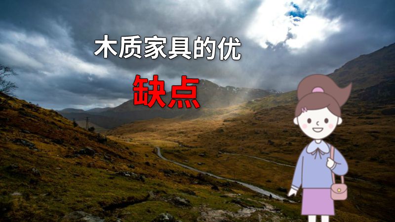 木质家具的优缺点 动画制作软件有哪些