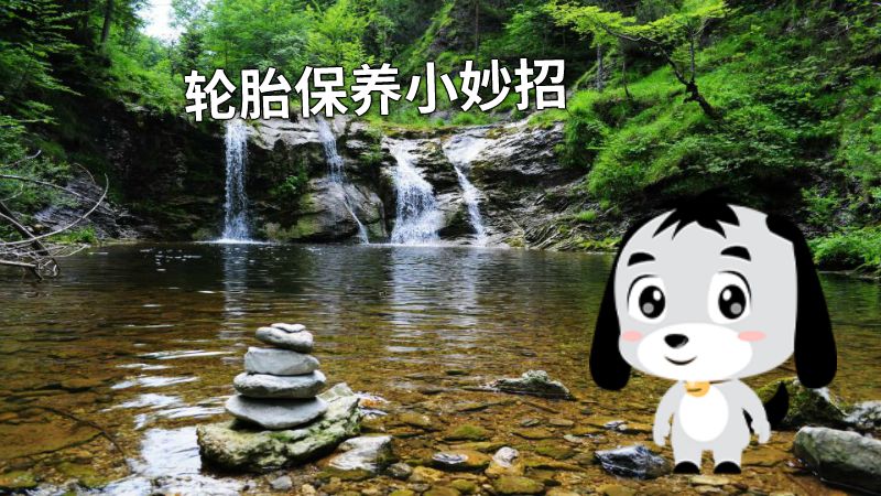 轮胎保养小妙招 动画制作软件有哪些