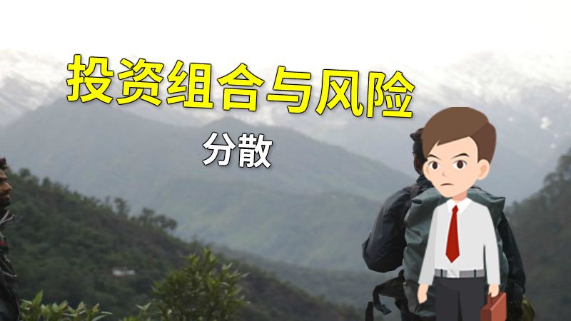投资组合与风险分散 动画制作软件有哪些