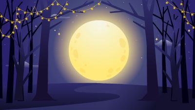 新建工程1111 动画制作软件有哪些