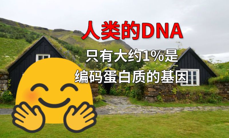 人类的DNA只有大约1%是编码蛋白质的基因 动画制作软件有哪些