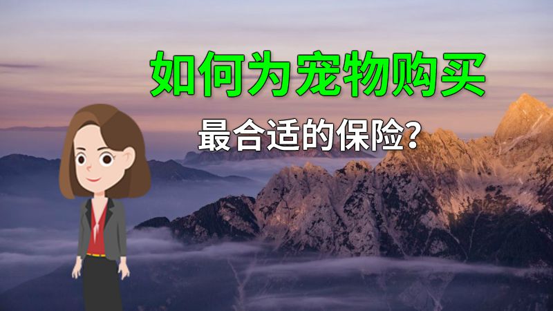 如何为宠物购买最合适的保险？ 动画制作软件有哪些