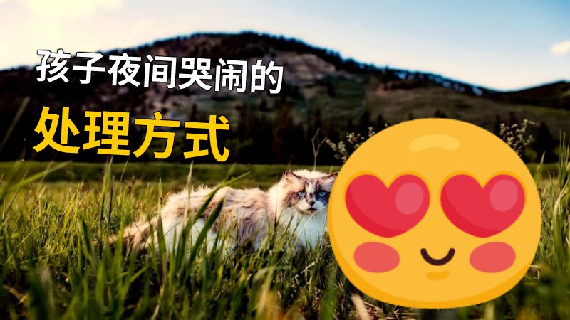 孩子夜间哭闹的处理方式 动画制作软件有哪些
