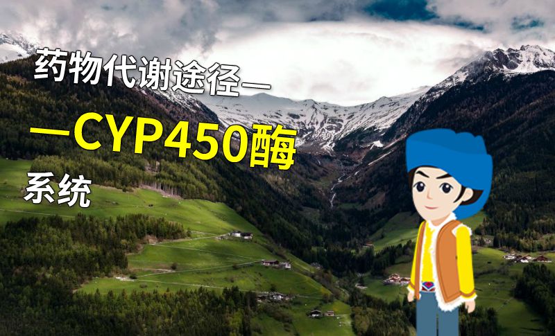 药物代谢途径——CYP450酶系统 动画制作软件有哪些