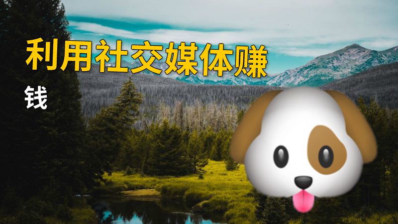 利用社交媒体赚钱 动画制作软件有哪些