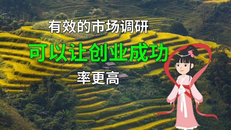 有效的市场调研可以让创业成功率更高 动画制作软件有哪些