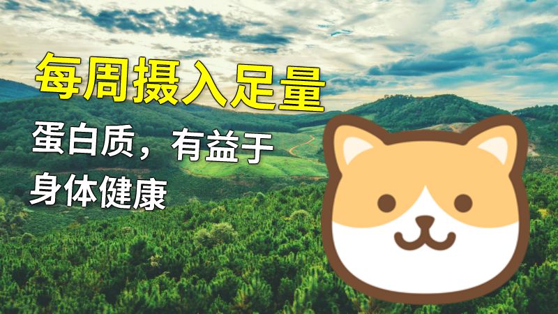 每周摄入足量蛋白质，有益于身体健康 动画制作软件有哪些