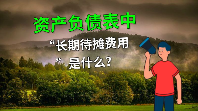 资产负债表中“长期待摊费用”是什么？ 动画制作软件有哪些