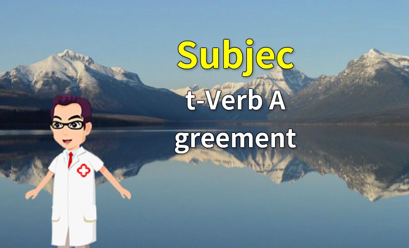 Subject-Verb Agreement 动画制作软件有哪些