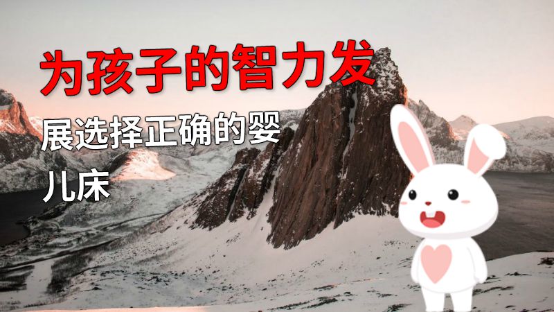 为孩子的智力发展选择正确的婴儿床 动画制作软件有哪些