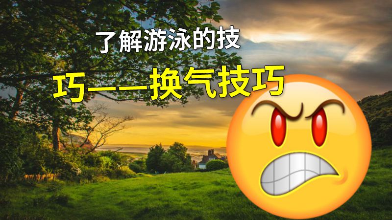 了解游泳的技巧——换气技巧 动画制作软件有哪些