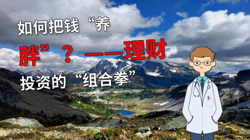 如何把钱“养胖”？——理财投资的“组合拳” 动画制作软件有哪些