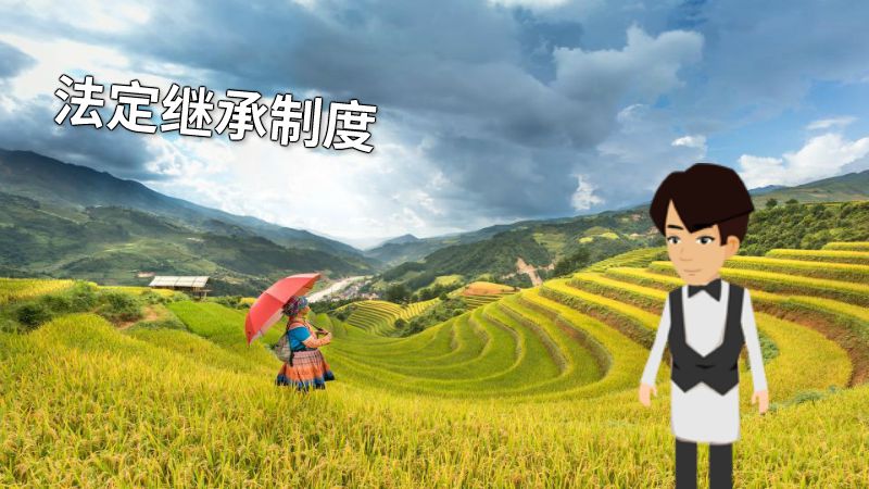 法定继承制度 动画制作软件有哪些