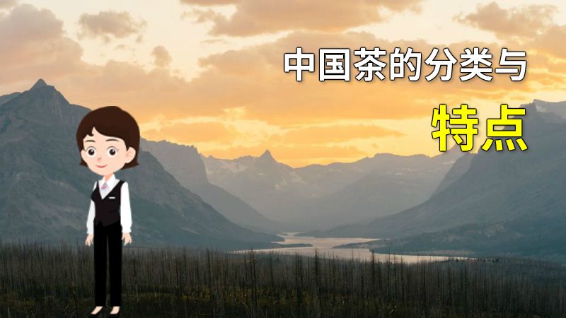 中国茶的分类与特点 动画制作软件有哪些