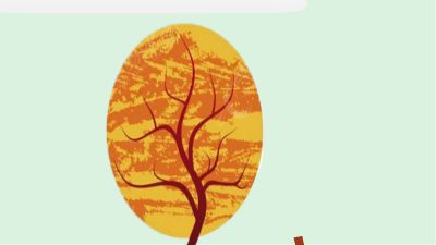 四季树木 动画制作软件有哪些