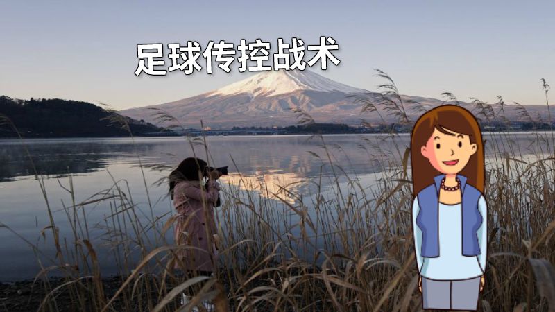 足球传控战术 动画制作软件有哪些