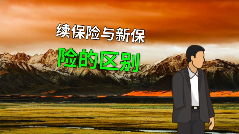 续保险与新保险的区别 动画制作软件有哪些