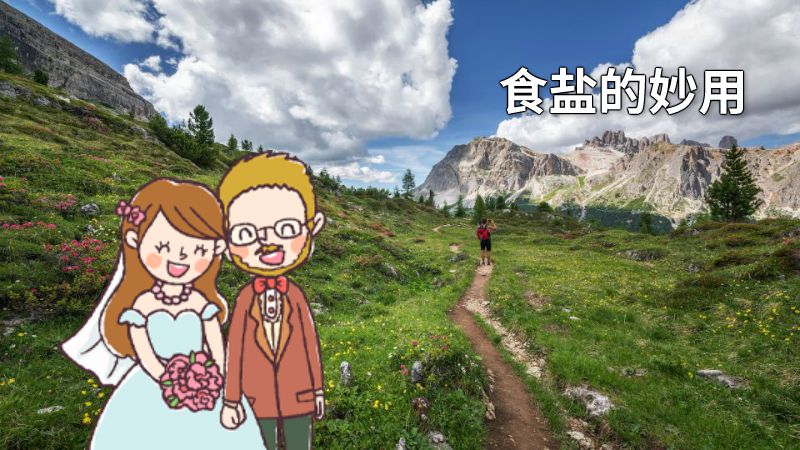 食盐的妙用 动画制作软件有哪些