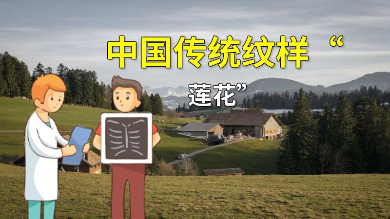 中国传统纹样“莲花” 动画制作软件有哪些