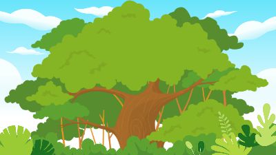 绿色长城.am 动画制作软件有哪些