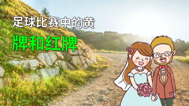 足球比赛中的黄牌和红牌 动画制作软件有哪些