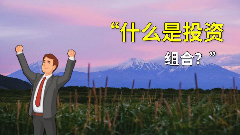 “什么是投资组合？” 动画制作软件有哪些