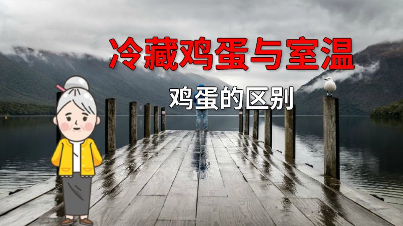 冷藏鸡蛋与室温鸡蛋的区别 动画制作软件有哪些