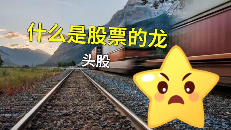 什么是股票的龙头股 动画制作软件有哪些