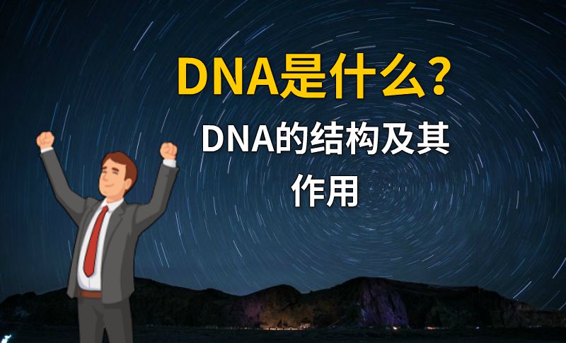 DNA是什么？DNA的结构及其作用 动画制作软件有哪些