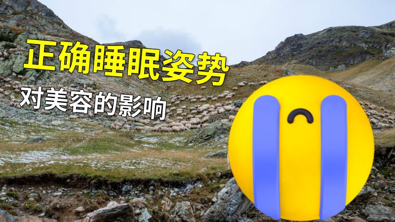 正确睡眠姿势对美容的影响 动画制作软件有哪些