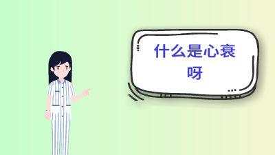 插入视频练习.am 动画制作软件有哪些