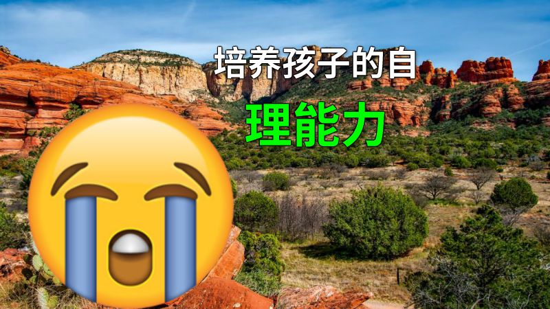 培养孩子的自理能力 动画制作软件有哪些
