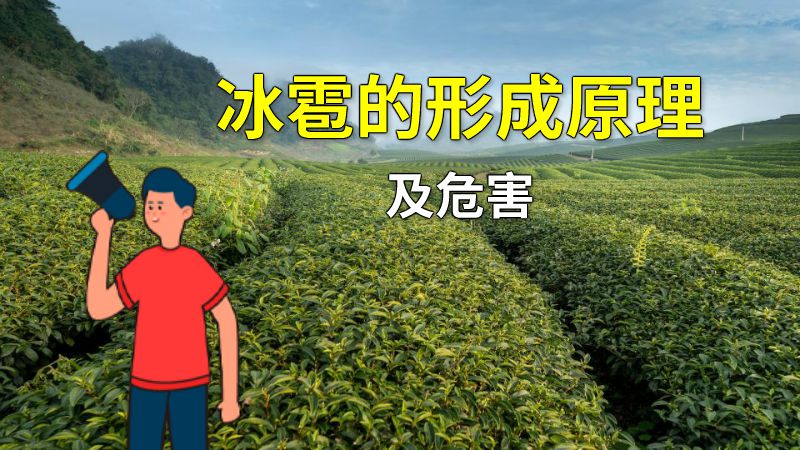冰雹的形成原理及危害 动画制作软件有哪些