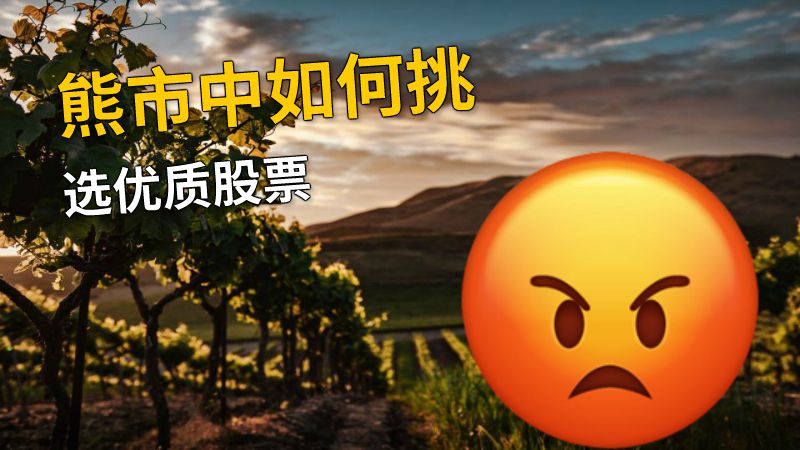 熊市中如何挑选优质股票 动画制作软件有哪些