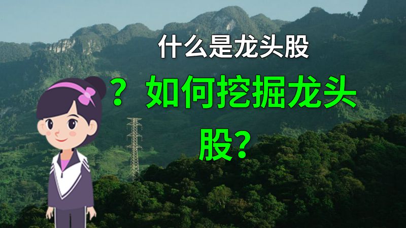 什么是龙头股？如何挖掘龙头股？ 动画制作软件有哪些