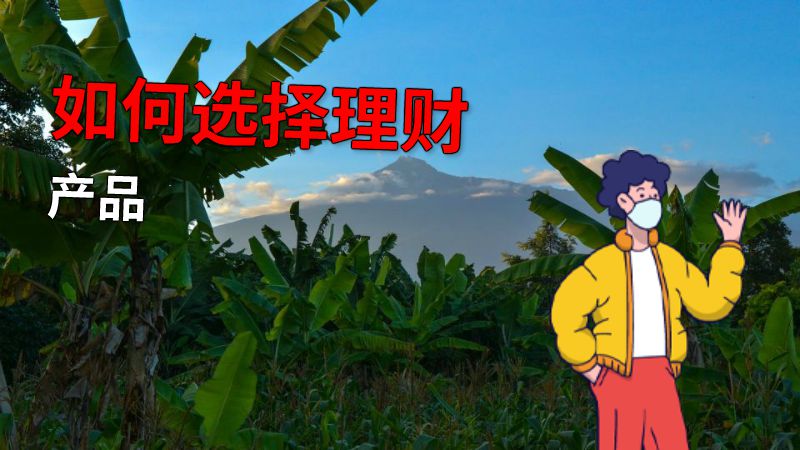 如何选择理财产品 动画制作软件有哪些