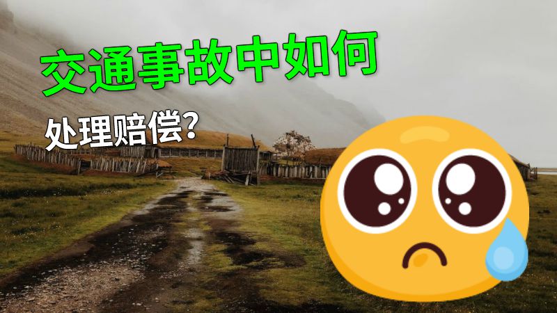 交通事故中如何处理赔偿？ 动画制作软件有哪些