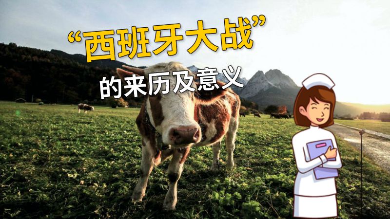 “西班牙大战”的来历及意义 动画制作软件有哪些