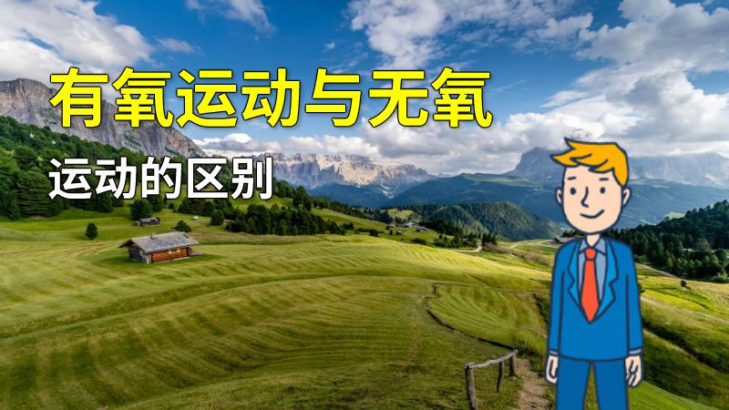 有氧运动与无氧运动的区别 动画制作软件有哪些