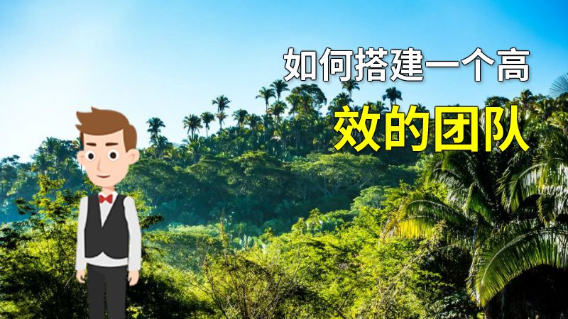 如何搭建一个高效的团队 动画制作软件有哪些