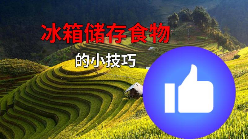 冰箱储存食物的小技巧 动画制作软件有哪些