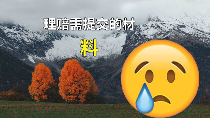 理赔需提交的材料 动画制作软件有哪些