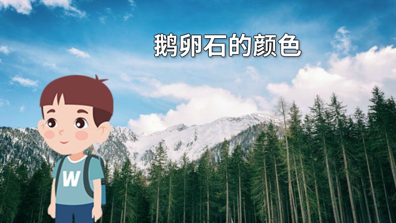 鹅卵石的颜色 动画制作软件有哪些