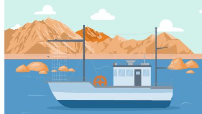 新建工程顶顶顶 动画制作软件有哪些