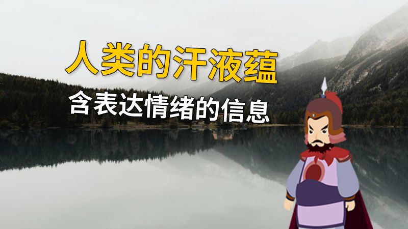 人类的汗液蕴含表达情绪的信息 动画制作软件有哪些