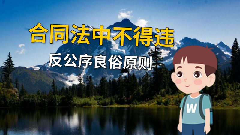 合同法中不得违反公序良俗原则 动画制作软件有哪些